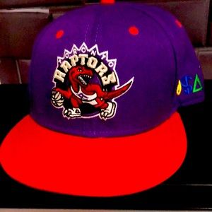 Retro 55 brand Toronto Raptors hat snapback